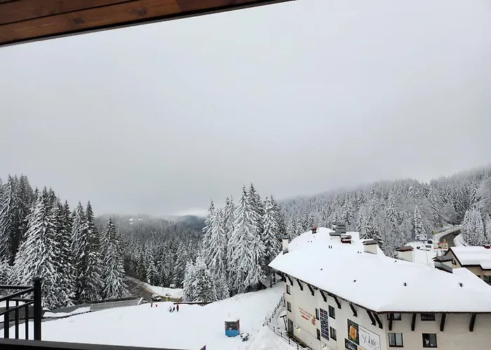 Pine & Wine Bathtub Apartament