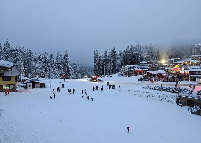 Pine & Wine Bathtub Apartament